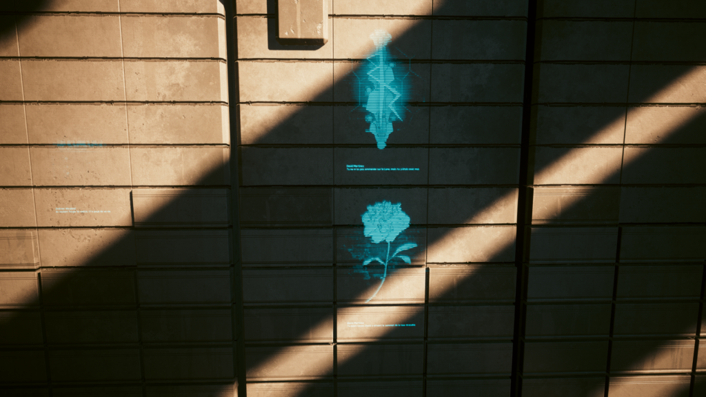 photomode 13012026 204433